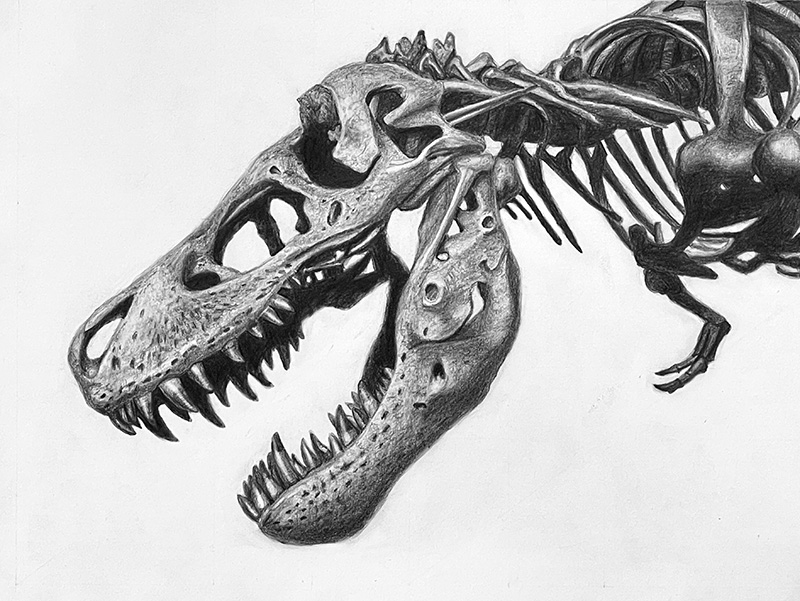 中学校２年生、Tくん