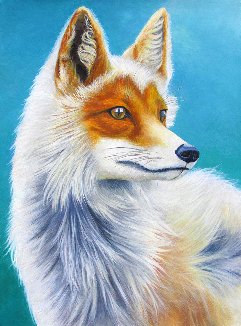 中学校２年生、Kさん