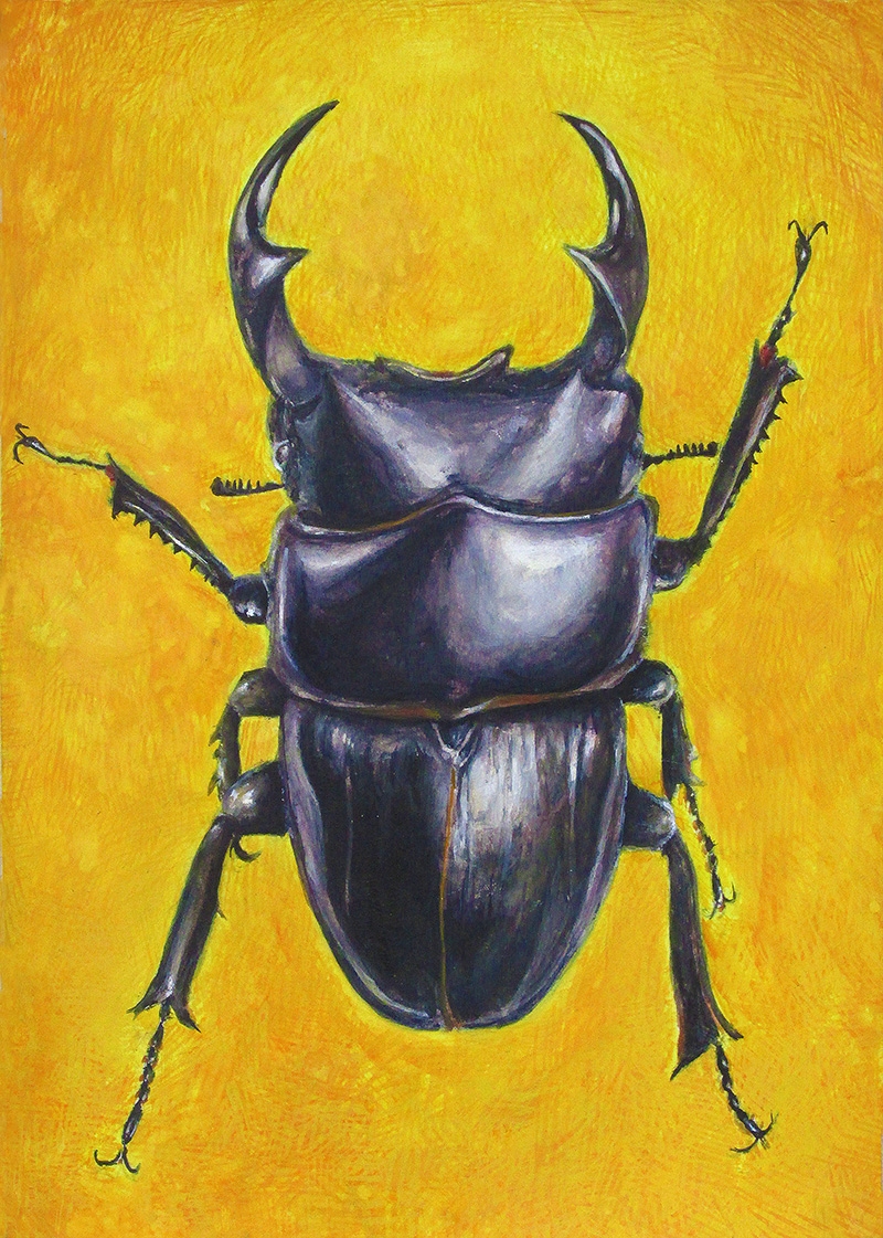 中学１年生、Nさん